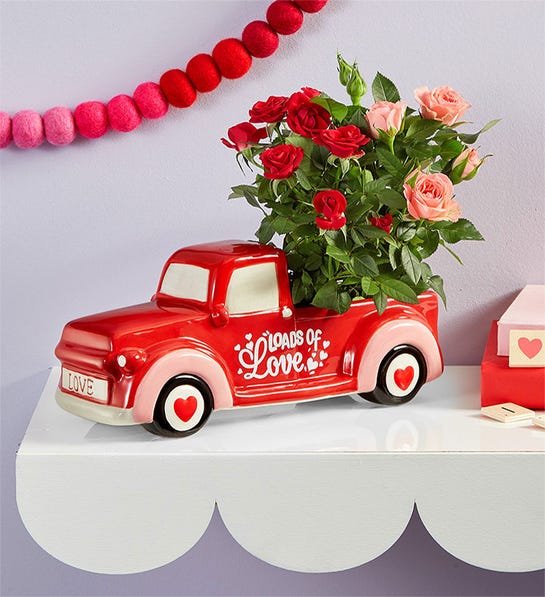 1800flowers.com | Truck-Loads of Love Rose Plant Duo